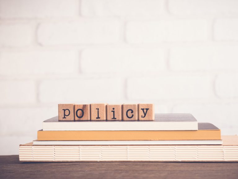 policy development